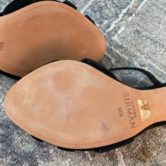 NWT Alexandre Birman Alicia
Suede Embellished Mules - Picture 14 of 15